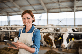 From Farm to Table: The Journey of Beef Products