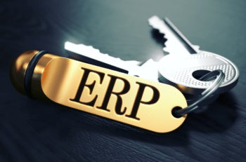 Mastering the Fundamental Features of ERP for Business Success