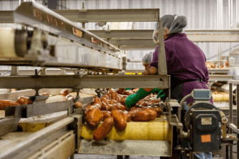 4 Reasons Why Regular Cleaning Is Vital for Frozen Food Manufacturers