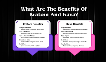 Kratom And Kava: Top Benefits That You Must Know This Summer