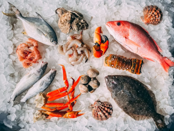 Expert Tips for Ensuring Freshness in Your Food Supply