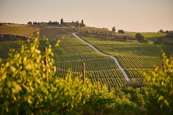 Tuscany – where wine, sun, and peace come together in one glass