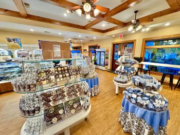10 Must-Know Tips for Thriving in the Chocolate Franchise Business