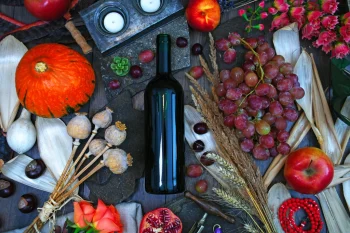 A Guide to Choosing Red Wines Online
