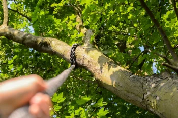 Advanced Recovery: Using Tree Anchors and Snatch Blocks With TruckClaws