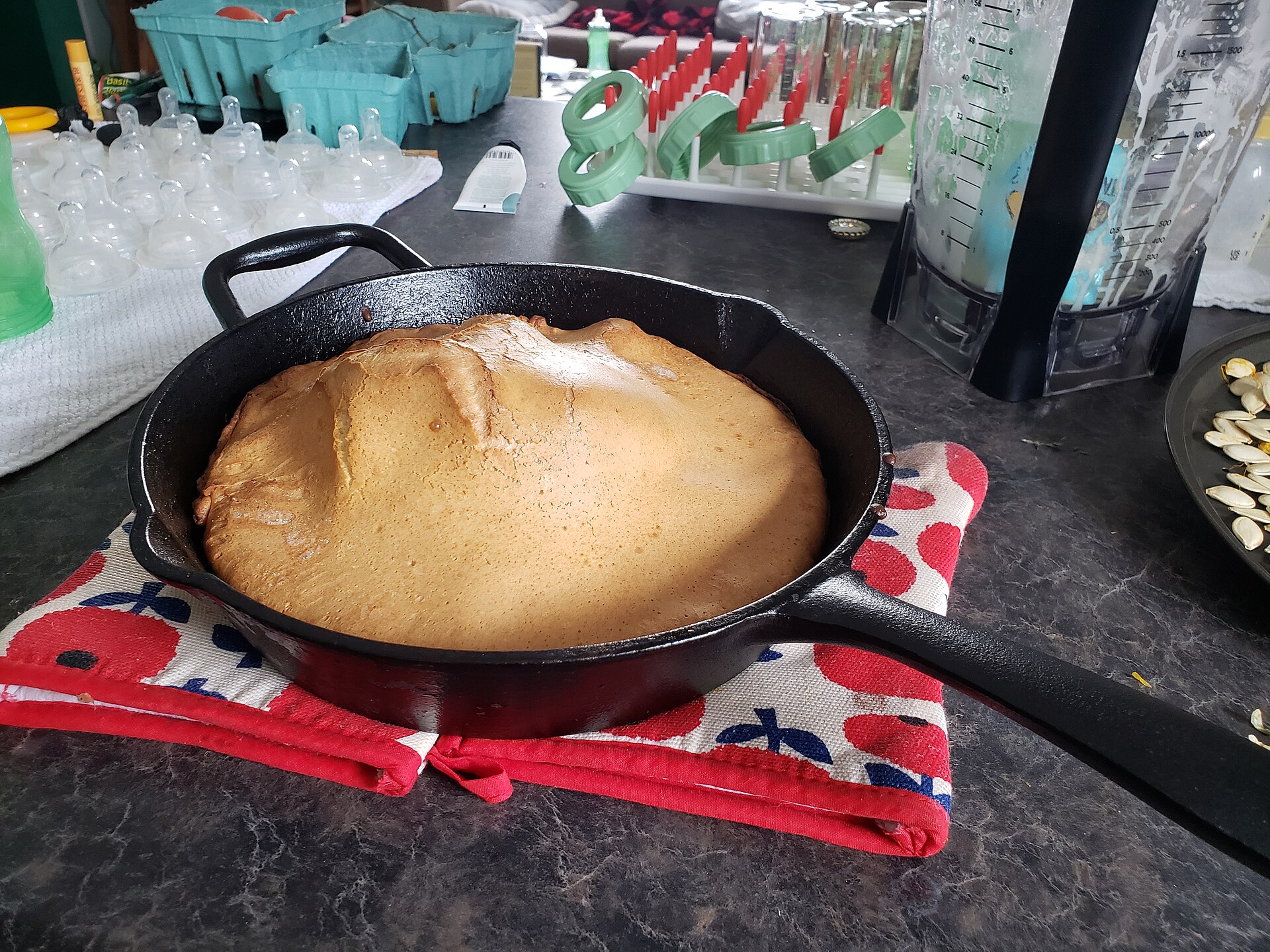 Cast Iron vs Carbon Steel Skillet vs Stainless Steel