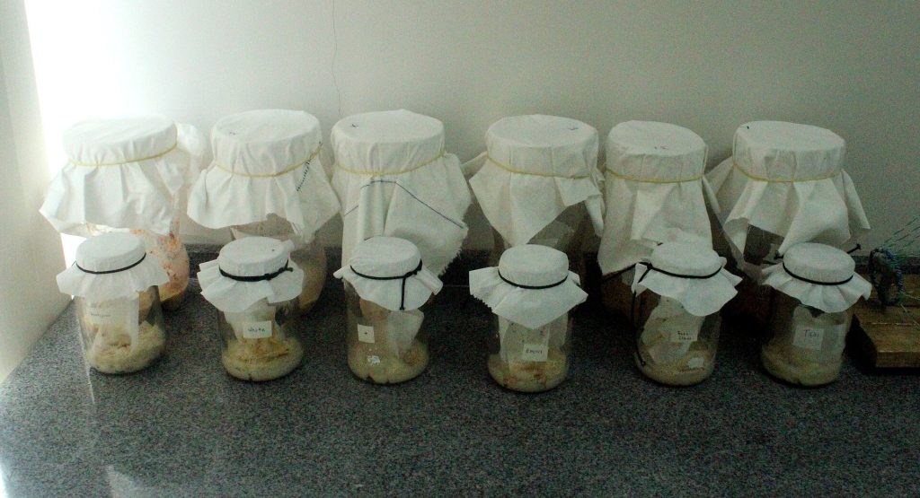 Flour stored in a sealed glass jar