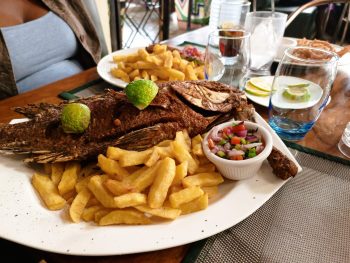 Family-Friendly Dining at 7 Seas Seafood Grille – Palmilla’s Laid-Back Oceanfront Spot