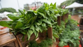 How Restaurants Can Make Food Taste Great