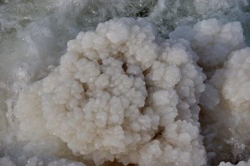 The Art of Infused Salt: How Layered Flavor Transforms Everyday Cooking