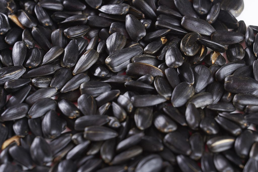 Sunflower seeds
