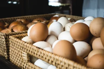 What Restaurant Owners Should Know About Sourcing Quality Eggs